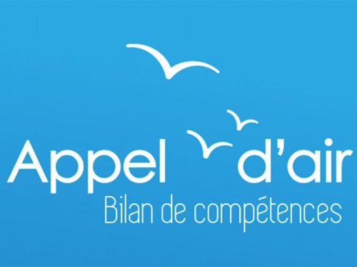 Le site d'Appel d'air : le logo 
