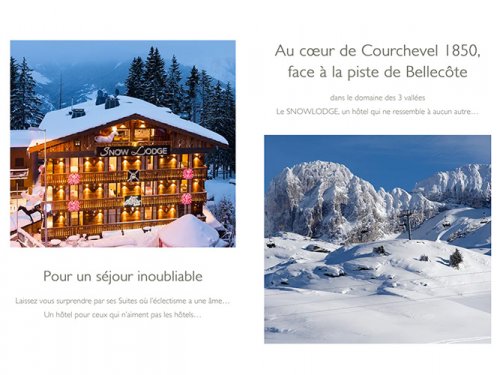 Capture d'écran de la page accueil du site Snowlodge 